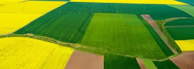 Актуальні ціни на сільськогосподарську землю в Україні у 2025 році: де найдорожче Актуальні ціни на сільськогосподарську землю в Україні у 2025 році: де найдорожче