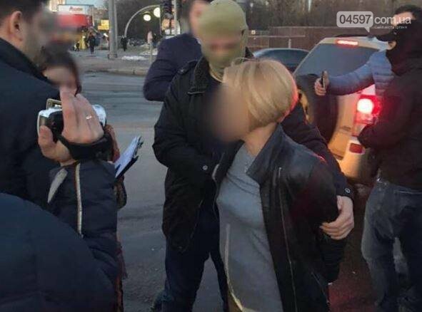 Затримання Черінської на хабарі: правда і вигадки, фото-1 Затримання Черінської на хабарі: правда і вигадки, фото-1