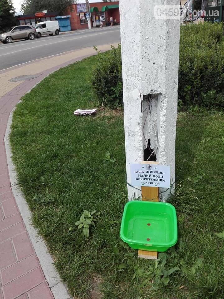 Що важливіше: турбота про бродячих тварин чи порядок у парках?, фото-2 Що важливіше: турбота про бродячих тварин чи порядок у парках?, фото-2