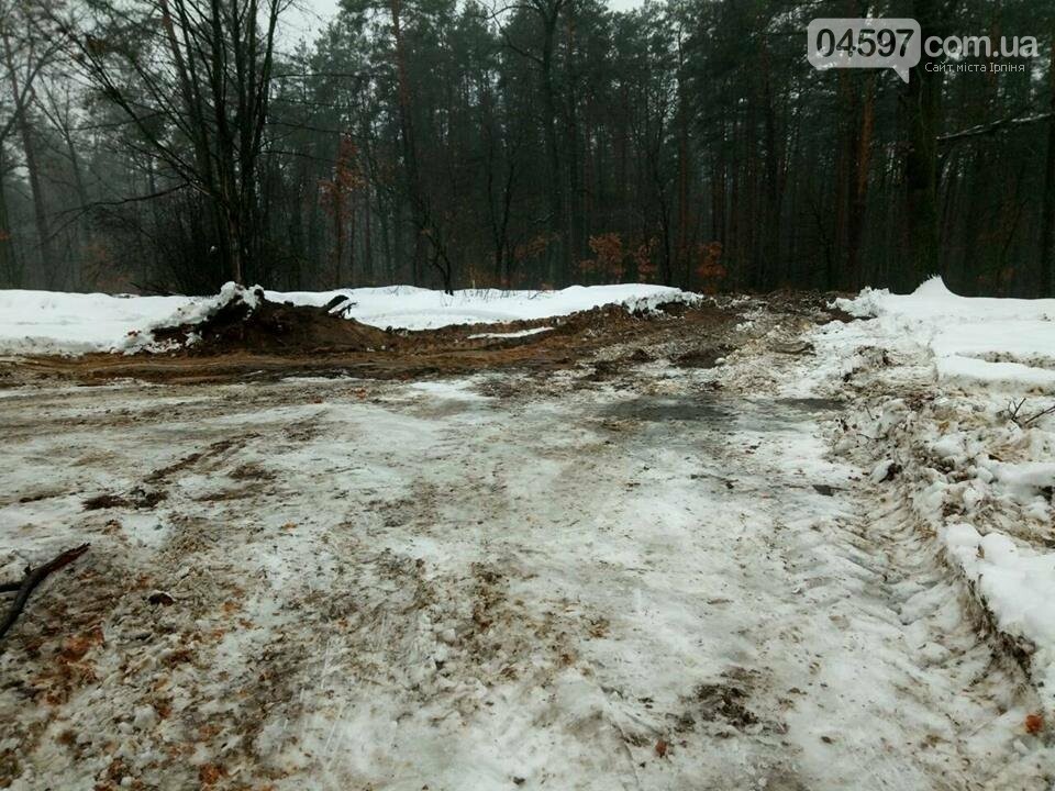 У лісі поблизу Гостомеля невідомі висипали купу яблук, фото-4 У лісі поблизу Гостомеля невідомі висипали купу яблук, фото-4
