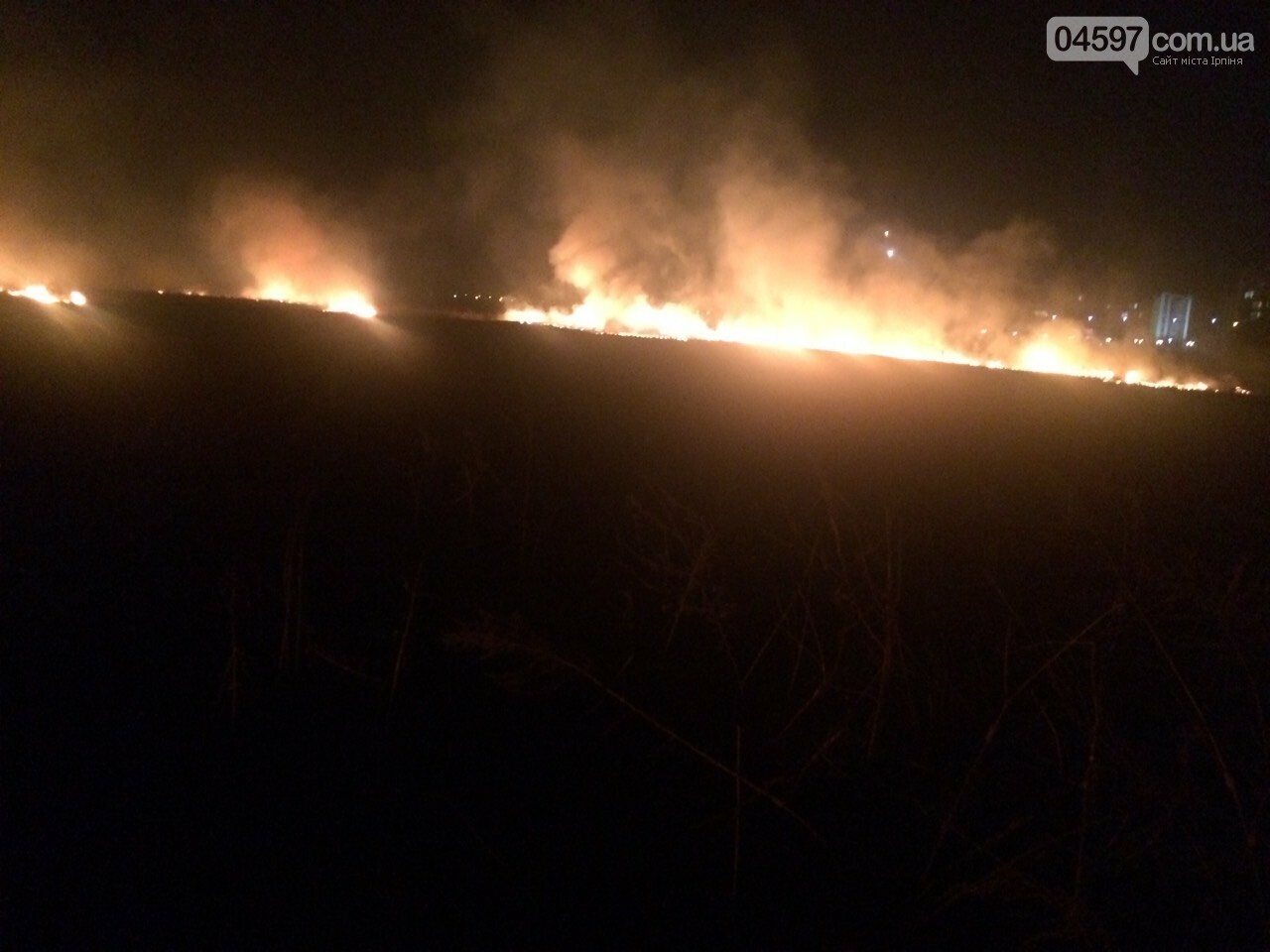 Горіла заплава: масштабна пожежа в Ірпені, фото-2 Горіла заплава: масштабна пожежа в Ірпені, фото-2