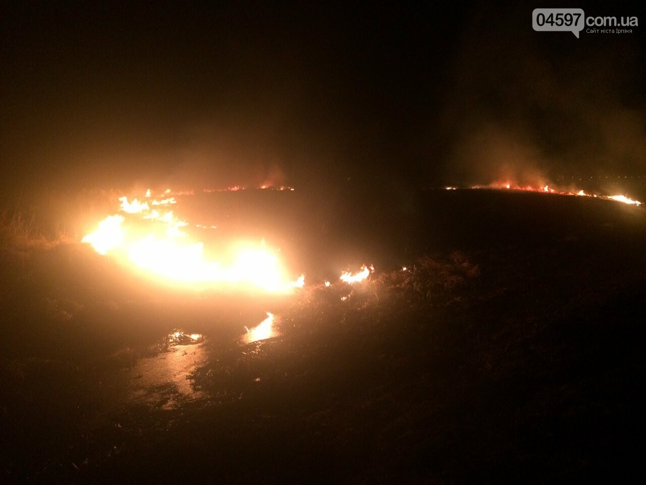 Горіла заплава: масштабна пожежа в Ірпені, фото-3 Горіла заплава: масштабна пожежа в Ірпені, фото-3