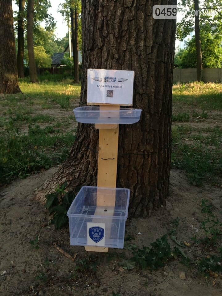 В Ірпені зоозахисники встановили ємкості з водою для безпри..., фото-1 В Ірпені зоозахисники встановили ємкості з водою для безпритульних тварин, фото-1