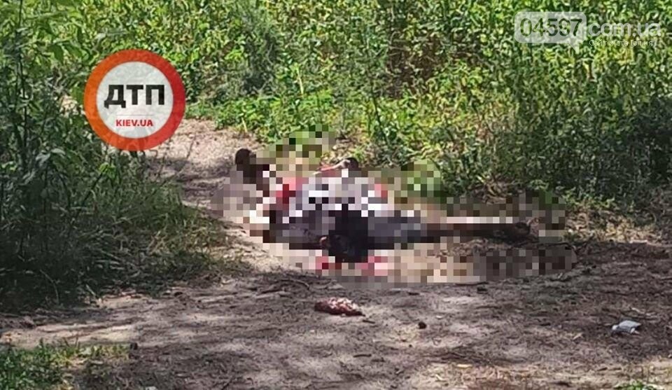 Трагедія у Коцюбинському: внаслідок вибуху гранати загинув..., фото-1 Трагедія у Коцюбинському: внаслідок вибуху гранати загинув чоловік, фото-1