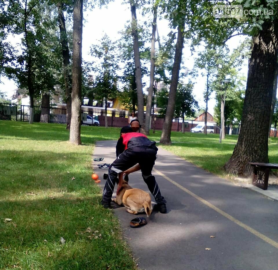 Чому у парку "Правика" поліція просить взуття відвідувачів?, фото-6 Чому у парку "Правика" поліція просить взуття відвідувачів?, фото-6