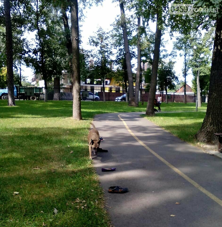 Чому у парку "Правика" поліція просить взуття відвідувачів?, фото-5 Чому у парку "Правика" поліція просить взуття відвідувачів?, фото-5