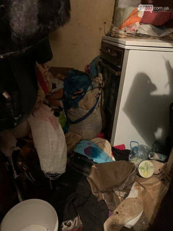 Собаки вили і стали в ряд провести її: сумний фінал про жін..., фото-5 Собаки вили і стали в ряд провести її: сумний фінал про жінку, яка тримала 10 собак у квартирі, фото-5