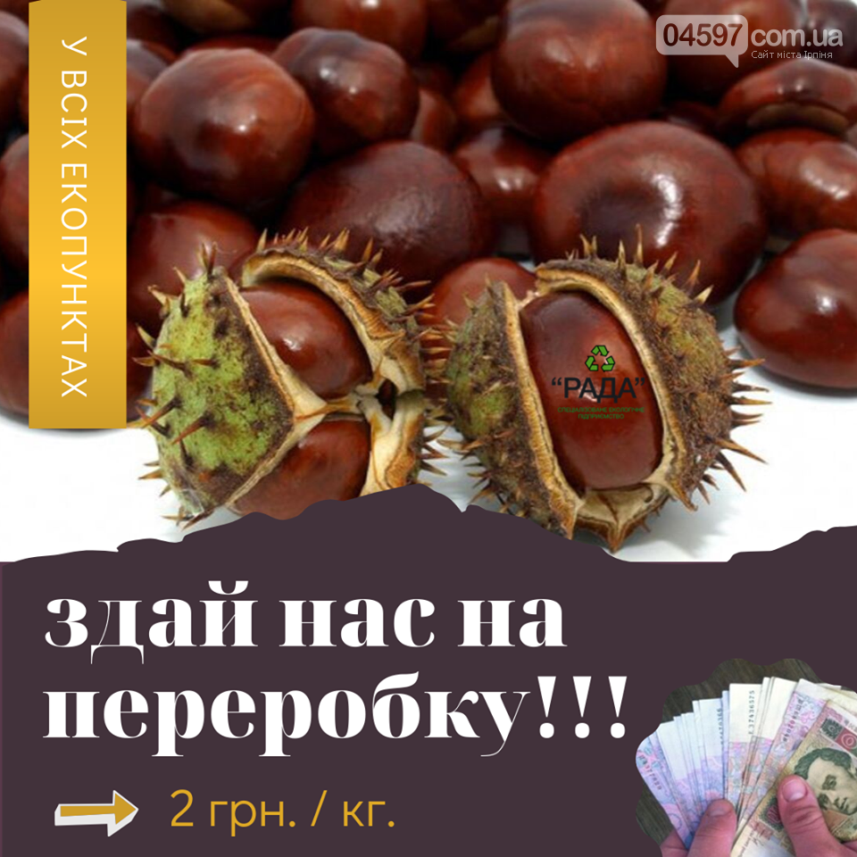 В екопунктах Приірпіння можна здати каштани та жолуді, фото-1 В екопунктах Приірпіння можна здати каштани та жолуді, фото-1
