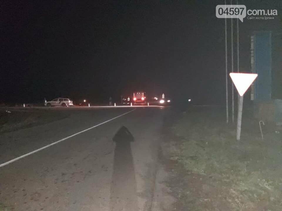 Біля Бородянки у ДТП загинули дві жінки та їх діти, фото-4 Біля Бородянки у ДТП загинули дві жінки та їх діти, фото-4