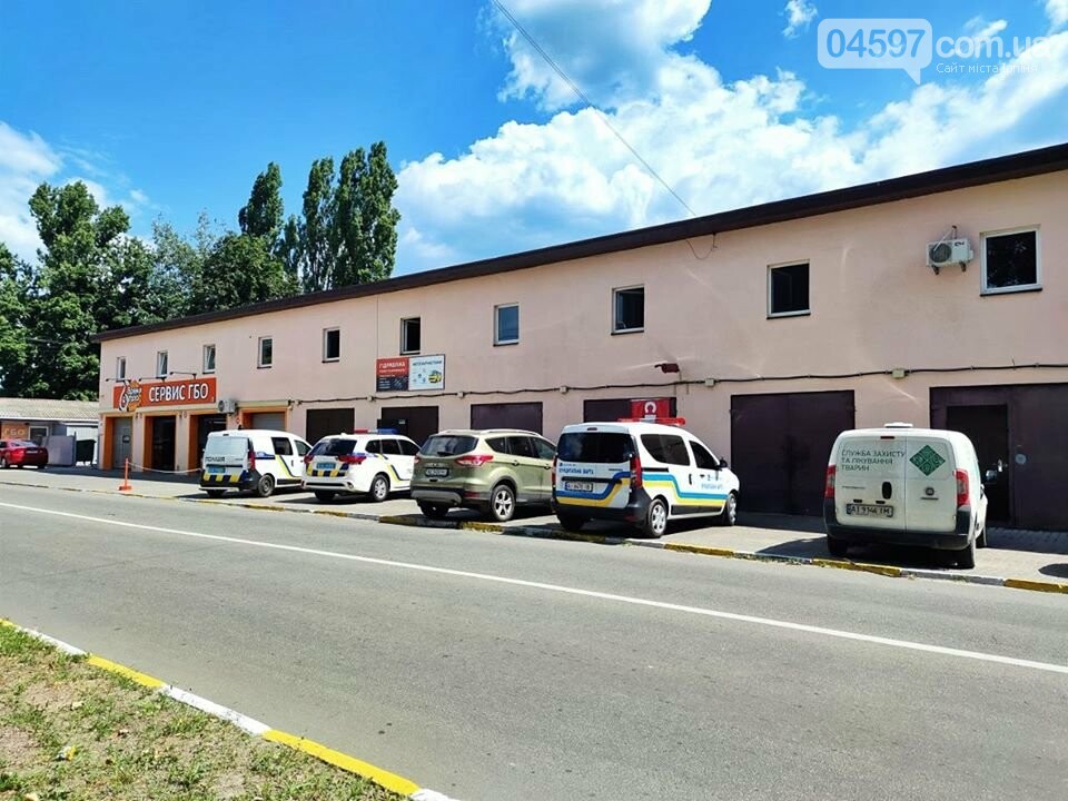 У центрі Ірпеня виявили незаконну скотобійню, фото-1 У центрі Ірпеня виявили незаконну скотобійню, фото-1