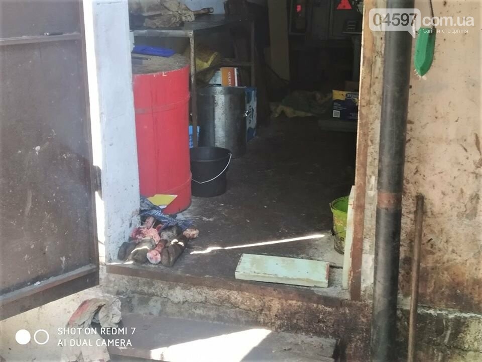 У центрі Ірпеня виявили незаконну скотобійню, фото-4 У центрі Ірпеня виявили незаконну скотобійню, фото-4