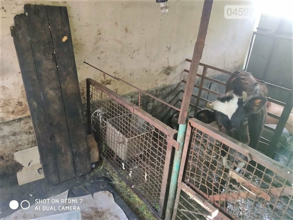 У центрі Ірпеня виявили незаконну скотобійню, фото-5 У центрі Ірпеня виявили незаконну скотобійню, фото-5