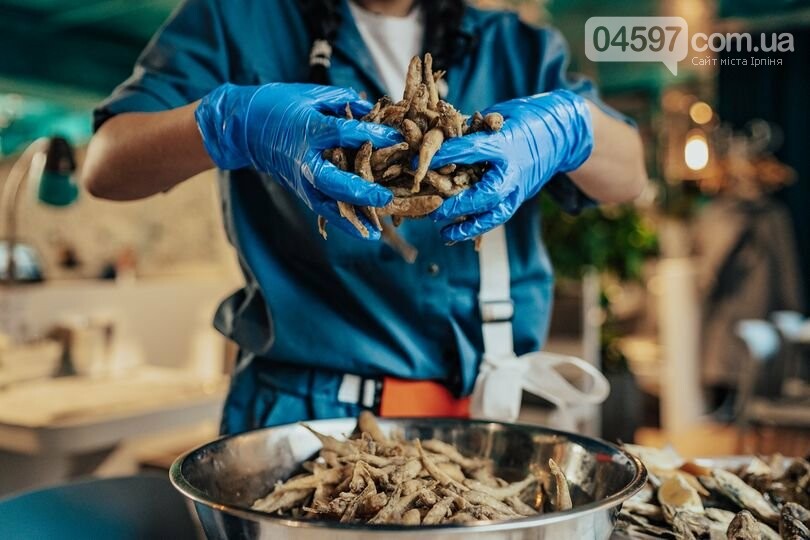 Просеко, мідії та лосось: в Ірпені відкривається "Анчоусна", фото-2 Просеко, мідії та лосось: в Ірпені відкривається "Анчоусна", фото-2