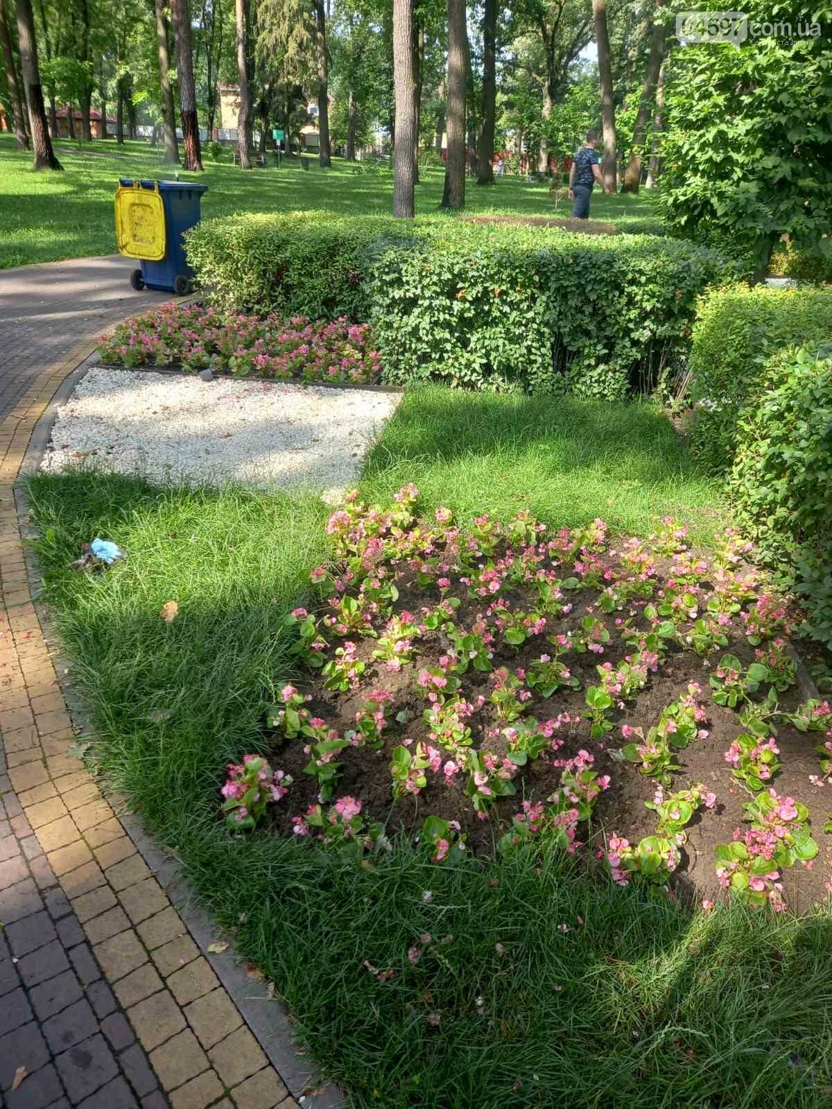 В Ірпені оновили квіткові клумби