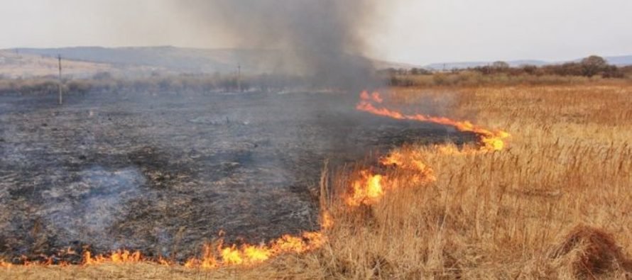 За вихідні рятувальники ліквідували 27 осередків загорання трав’яно... За вихідні рятувальники ліквідували 27 осередків загорання трав’яного настилу в Ірпінському регіоні