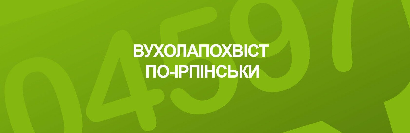 Ірпінчан запрошують на благодійний фестиваль на підтримку безпритул... Ірпінчан запрошують на благодійний фестиваль на підтримку безпритульних тварин, Наталья Черненко