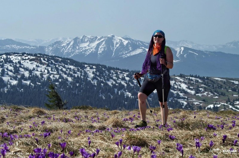 Похід Карпатами: дівчина з рюкзаком і палицями на тлі засніжених гір і квітучих крокусів